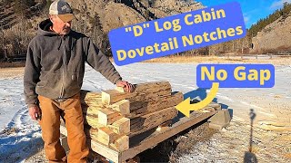 Dovetail notched log cabin with D logs [upl. by Gerald]