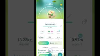 When I evolve a Cottonee into Whimsicott in pokémongo shortvideo pokerangergamer8437 evolution [upl. by Tamra]