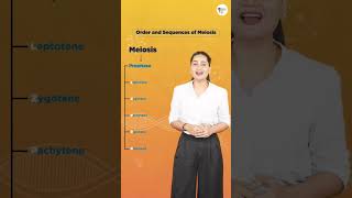 Short Trick for Meiosis  Priya Pandey  shorts meiosis [upl. by Aerahs184]