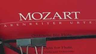 モーツァルト フルート四重奏曲 3 Mozart Flute Quartet in C KV 285b Flötenquartett  Takahashi in JAPAN [upl. by Soisinoid]