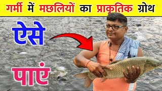 गर्मी में मछलियों का प्राकृतिक ग्रोथ ऐसे पाएं 🐟😲🔥  वीडियो ना देखा तो पछताएं 😲 [upl. by Supmart]