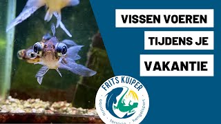 Vakantie visvoer of voerautomaat voor je aquarium [upl. by Moitoso]