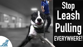 How To Teach Your Dog Not To Pull On The Leash EVER [upl. by Einreb541]