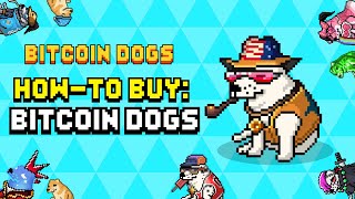 Bitcoin Dogs Club Howto Buy 0DOG [upl. by Ahcorb743]