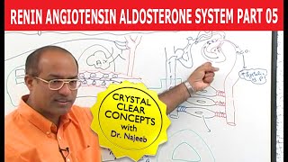 Renin Angiotensin Aldosterone System  RAAS Part 5👨‍⚕️ [upl. by Camp]