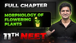 Morphology of Flowering Plants FULL CHAPTER  Class 11th Botany  Arjuna NEET [upl. by Airak]