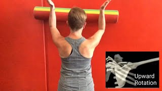 3 Exercises To Correct A Winged Scapula [upl. by Ahsilav]