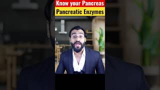 Pancreatic Enzymes [upl. by Neerhtak]