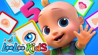 𝑵𝑬𝑾👀Explore the Five Senses  Sing amp Learn Kids Songs  LooLoo Kids Nursery Rhymes [upl. by Noside]