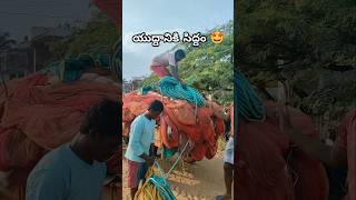 పడవ పైకి వల ఎలా ఎక్కిస్తాము 😍 fishing beach [upl. by Ennaul]