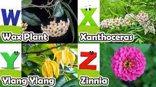 Flowers Alphabet Song  Flowers ABC Song  A to Z Flowers Names  Phonics for Kids [upl. by Eleira]