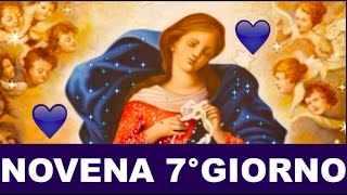 Novena a Maria che scioglie i nodi  7° Giorno [upl. by Ahsima196]