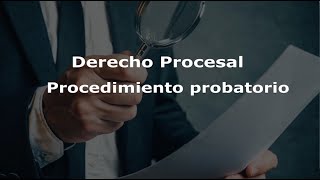 Procedimiento Probatorio  Derecho Procesal Civil  Guatemala [upl. by Ahsyia]