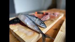 Sløye og filetere fisk [upl. by Galloway758]