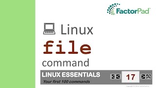 Linux file command summary with examples [upl. by Assenad]