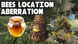 BEE HIVE AND HONEY LOCATION IN ABERRATION Ark Survival Evolved [upl. by Liesa]