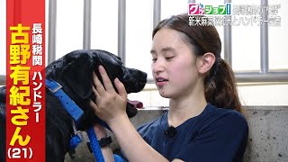 【グッジョブ！】長崎税関の麻薬探知犬と若きハンドラーに密着！！【NCCスーパーJチャンネル長崎】 [upl. by Asaph965]