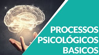 PROCESSOS PSICOLOGICOS BASICOS [upl. by Aima]