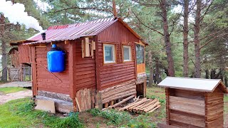 Hiding Alone in the Forest Building a Woodshed Making Delicious Food Preparing for Winter [upl. by Jonell]