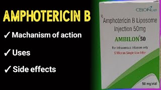 amphotericin b pharmacology [upl. by Robbert]