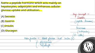 Name a peptide hormone which acts mainly on hepatocytes adipocytes and enhances cellular glucos [upl. by Zollie]