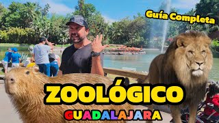 Así es el ZOOLÓGICO de GUADALAJARA 2024 Guía Completa Precios y mas [upl. by Yeknarf]