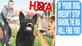 HOA Fined Me Because My Dog BARKED In My Backyard  Im Not Even Part Of The HOA [upl. by Woodrow]