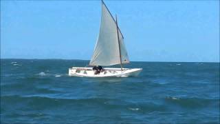 First Mate Sailing Trial [upl. by Seligmann]