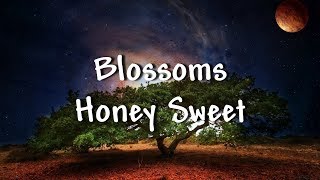 Blossoms  Honey Sweet  Lyrics [upl. by Hyozo]