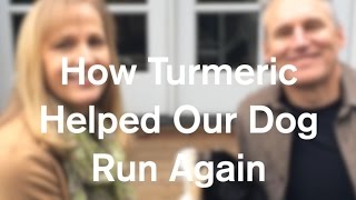 How Turmeric Healed Our Dog And Helped Him Run Again  AnOregonCottagecom [upl. by Isle]