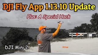 DJI Fly App Update 11310  DJI Mini 2 [upl. by Aneloj]