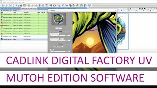 Cadlink Digital factory software voor Mutoh UV printers [upl. by Morville]