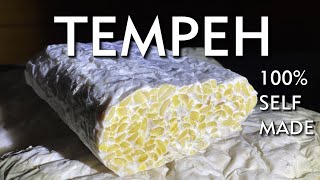 Tempeh selber machen  traditionell indonesische Eiweißquelle [upl. by Namrak781]