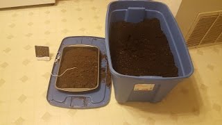 Indoor Gardening Sterilizing Soil [upl. by Neirrad351]