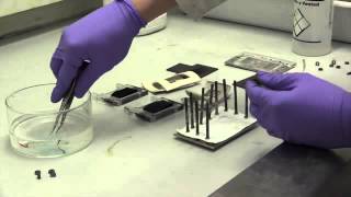 Making a vanadium redox flow batteryipad [upl. by Yrelle]