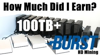 How Much Did I Earn 100TB Burstcoin HardDrive Mining Rig [upl. by Eveivaneg]