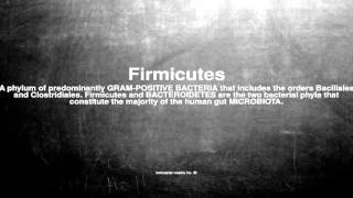 Medical vocabulary What does Firmicutes mean [upl. by Maxia]