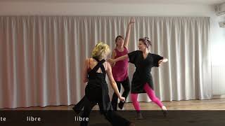 HK  Danser encore  Tutoriel Danse pour le public [upl. by Eneli]