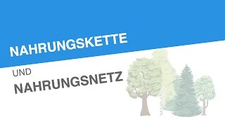 NAHRUNGSKETTE UND NAHRUNGSNETZ  Biologie  Ökologie [upl. by Wake]