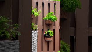 Grow your own herbs [upl. by Einnig]