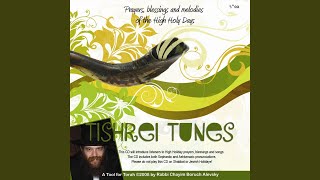 Rosh Hashana Davening Theme Tune [upl. by Finnigan]