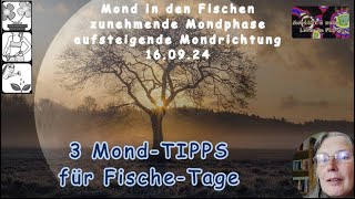 3 MondTIPPs für Fische Tage [upl. by Einahets857]