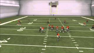 Madden 25 How to Rocket catch Goaline Fades [upl. by Shorter287]