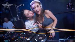 Deejay WH《超好听》葡萄牙神仙水DJ REMIXDeejay King [upl. by Imailiv819]