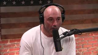 Joe Rogan Speaks The Truth On Exercise  Mikhaila Peterson [upl. by Eceirahs]