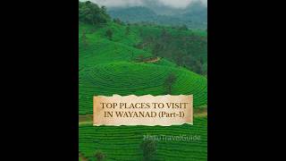 Best Places To Visit In Wayanad  Wayanad Tourist Places shorts shortsfeed [upl. by Sonia]