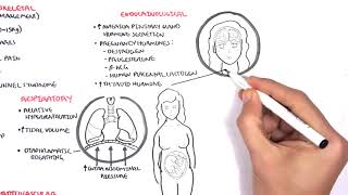 Physiological Changes During PregnancyMedicoLover  MCI FMGE  USMLE [upl. by Anawak]