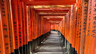 FUSHIMI INARI A KYOTO [upl. by Cerellia]