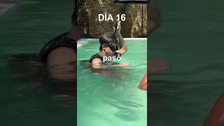 estos videos tan caros los puedo pagar porque ustedes le pican en seguirme y dar like solo eso [upl. by Nuhsar77]