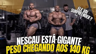 NESCAU ESTÁ QUASE NO LIMITE  PESO CHEGANDO AOS 140 KG  ELE ESTÁ GIGANTE [upl. by Nahpets961]